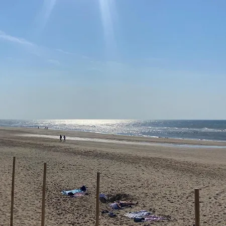 Cozy In With Wifi Noordwijk